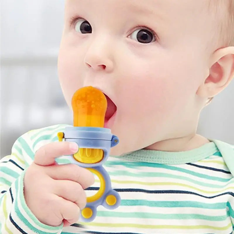 Baby Fruit Food Feeder Pacifier